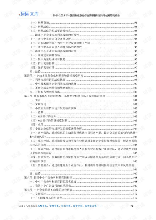 2021-2025年中國(guó)財(cái)稅信息化行業(yè)調(diào)研及利基市場(chǎng)戰(zhàn)略咨詢(xún)報(bào)告